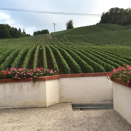 La Loge Du Vigneron * Vauciennes (Marne)