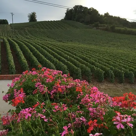 La Loge Du Vigneron